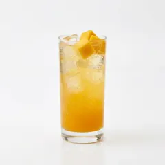 Mango Refresher